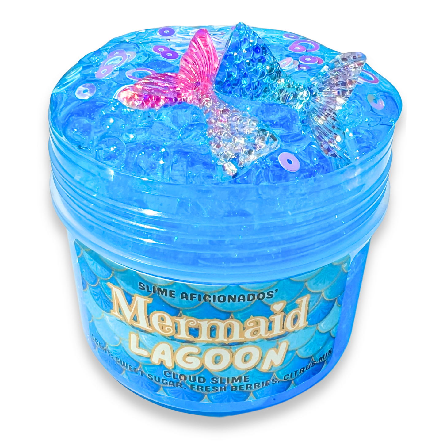 MERMAID LAGOON